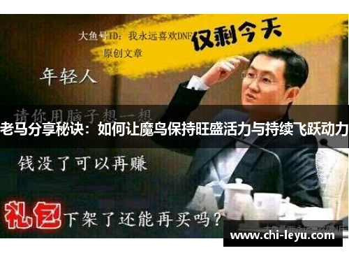 老马分享秘诀:如何让魔鸟保持旺盛活力与持续飞跃动力 老马分享秘诀:如何让魔鸟保持旺盛活力与持续飞跃动力