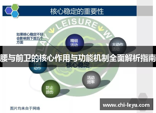 腰与前卫的核心作用与功能机制全面解析指南