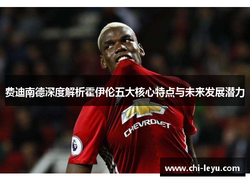 费迪南德深度解析霍伊伦五大核心特点与未来发展潜力