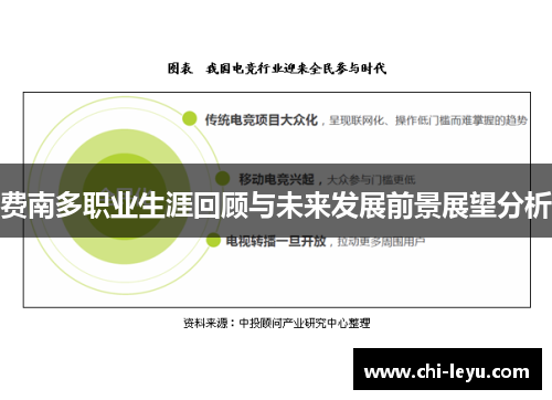 费南多职业生涯回顾与未来发展前景展望分析 费南多职业生涯回顾与未来发展前景展望分析