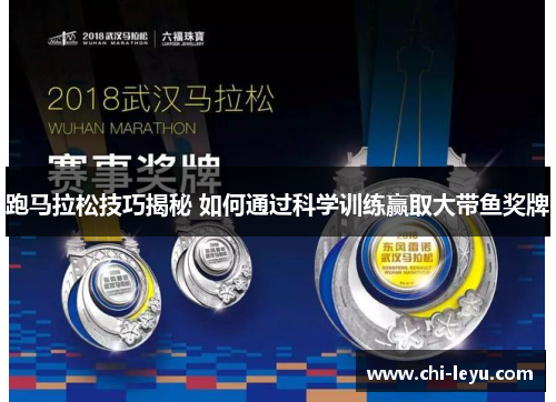 跑马拉松技巧揭秘 如何通过科学训练赢取大带鱼奖牌 跑马拉松技巧揭秘 如何通过科学训练赢取大带鱼奖牌