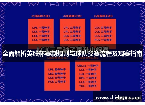 全面解析英联杯赛制规则与球队参赛流程及观赛指南 全面解析英联杯赛制规则与球队参赛流程及观赛指南