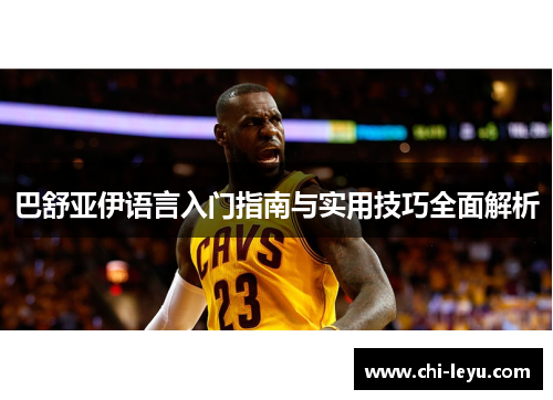 巴舒亚伊语言入门指南与实用技巧全面解析 巴舒亚伊语言入门指南与实用技巧全面解析