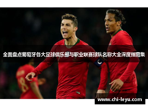 全面盘点葡萄牙各大足球俱乐部与职业联赛球队名称大全深度指南集