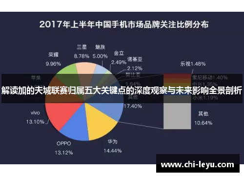 解读加的夫城联赛归属五大关键点的深度观察与未来影响全景剖析