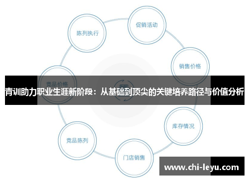 青训助力职业生涯新阶段：从基础到顶尖的关键培养路径与价值分析