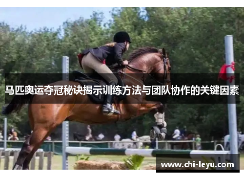 马匹奥运夺冠秘诀揭示训练方法与团队协作的关键因素