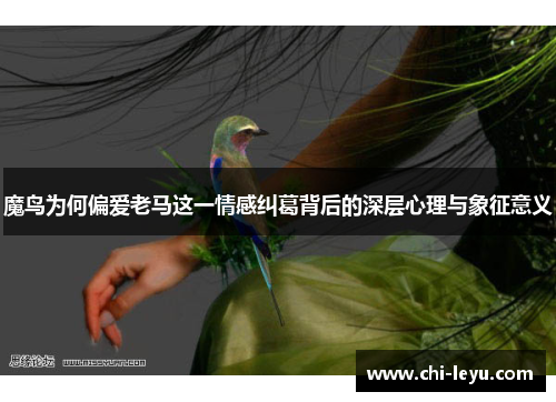 魔鸟为何偏爱老马这一情感纠葛背后的深层心理与象征意义