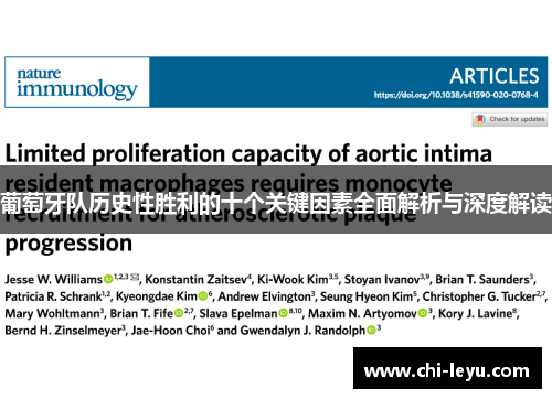 葡萄牙队历史性胜利的十个关键因素全面解析与深度解读