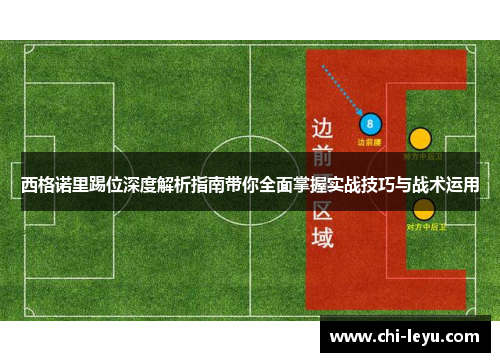西格诺里踢位深度解析指南带你全面掌握实战技巧与战术运用