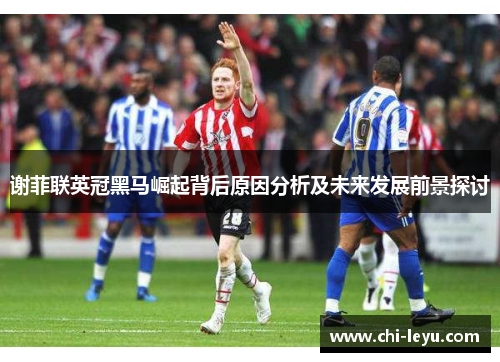 谢菲联英冠黑马崛起背后原因分析及未来发展前景探讨