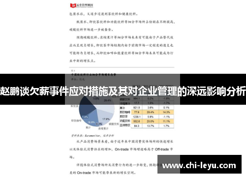 赵鹏谈欠薪事件应对措施及其对企业管理的深远影响分析