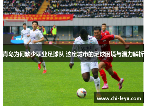 青岛为何缺少职业足球队 这座城市的足球困境与潜力解析