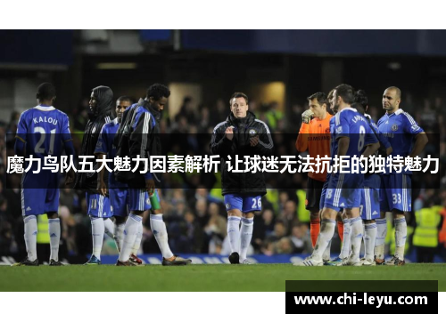 魔力鸟队五大魅力因素解析 让球迷无法抗拒的独特魅力